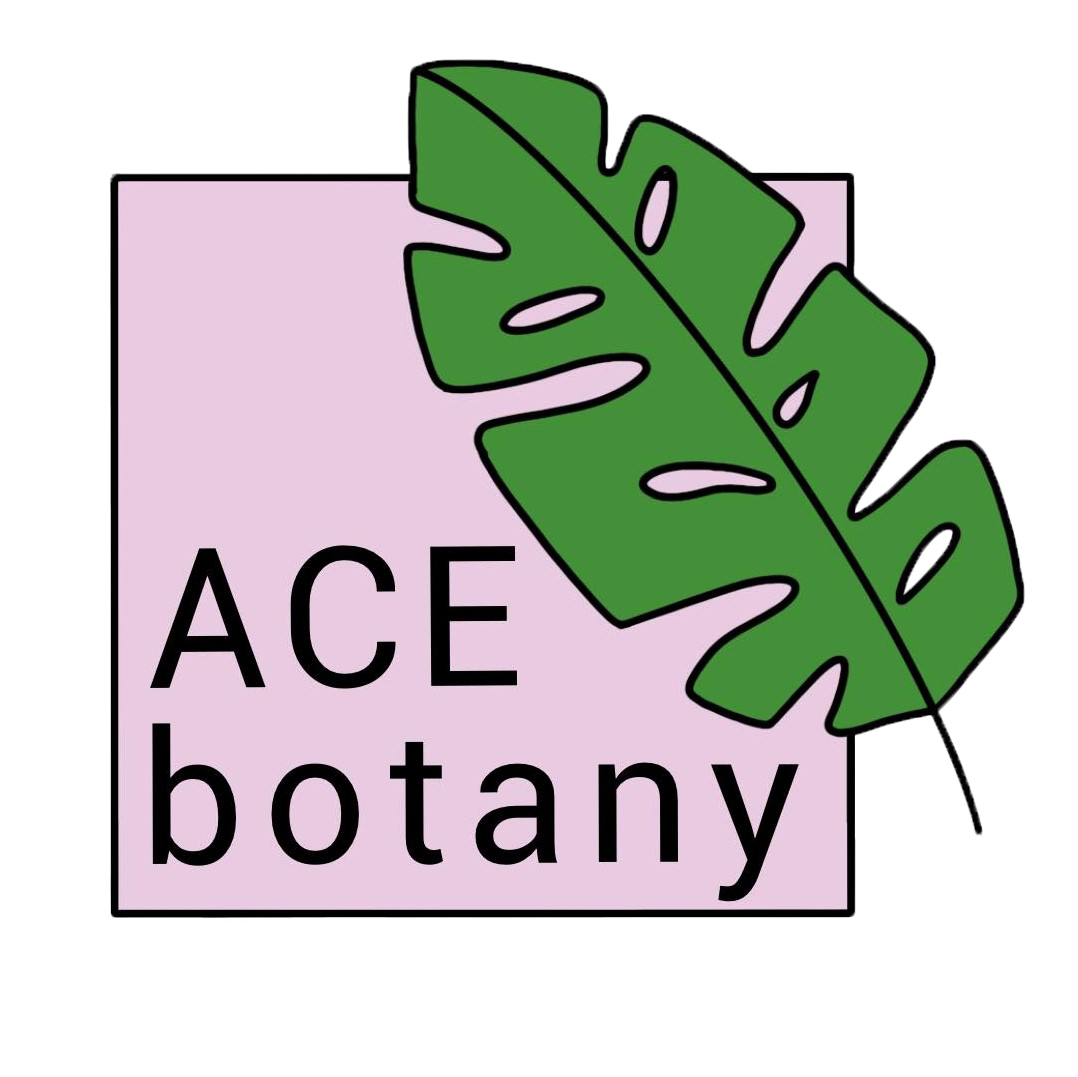 ace-logo-png-ace-botany